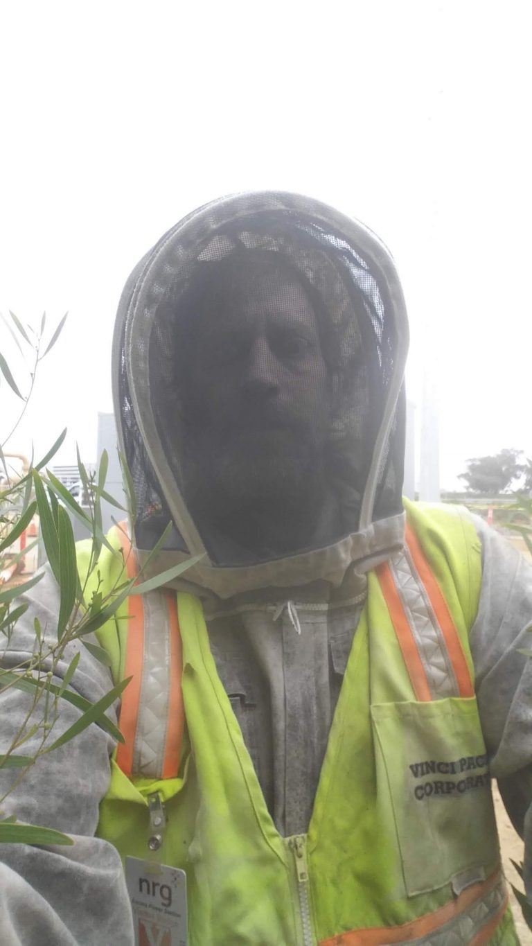 SoCal Bee Removal and Relocation